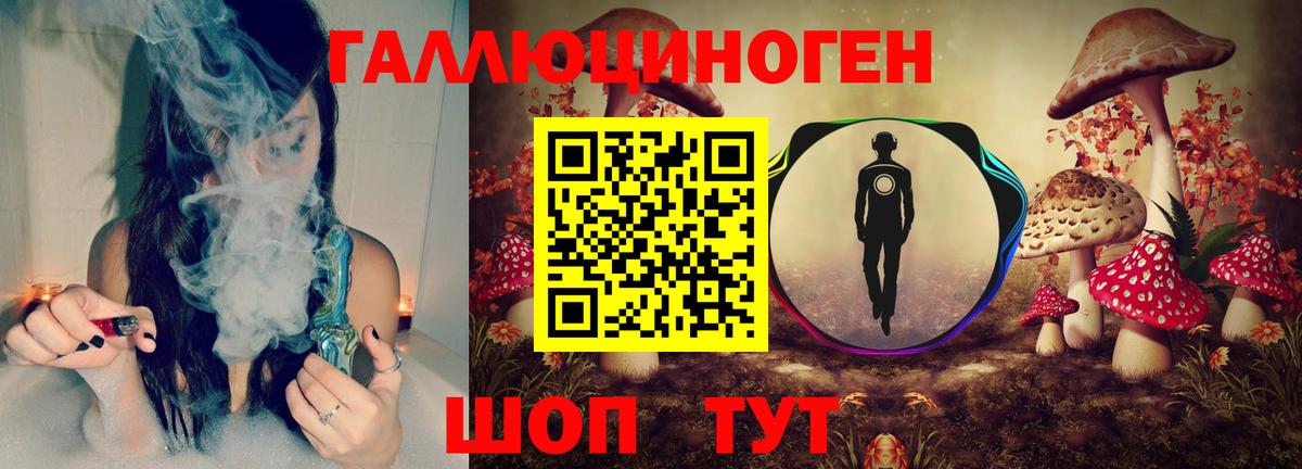 Галлюциногенные грибы Psilocybe  купить   Абакан  Вход с VPN 