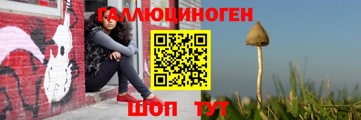 Псилоцибиновые грибы GOLDEN TEACHER Абакан